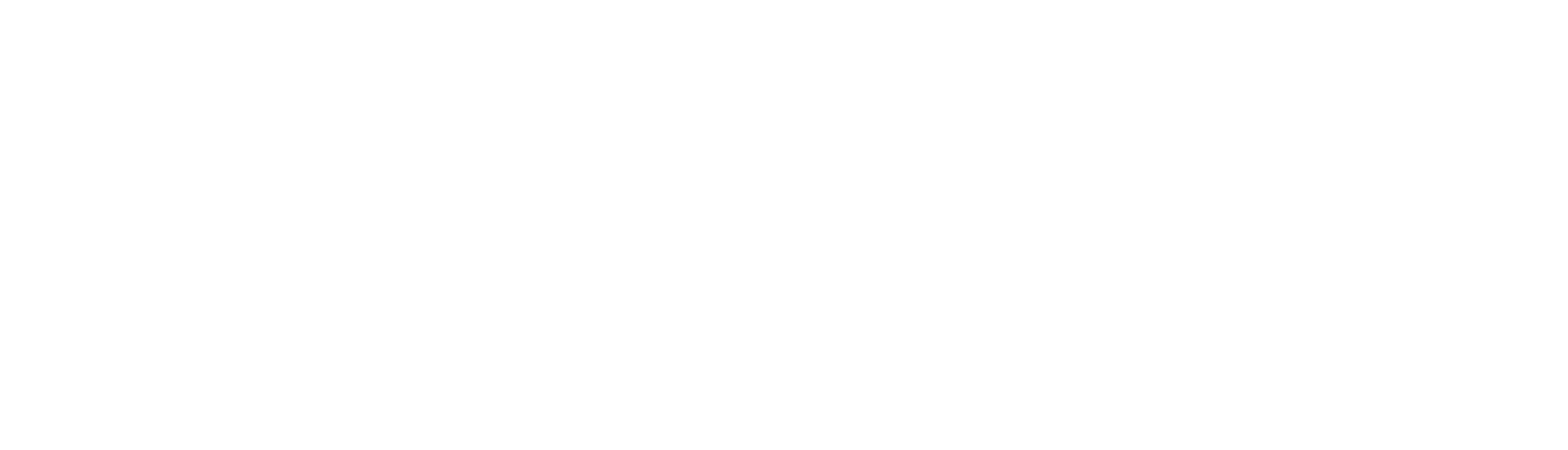 Stryker-Logo-wht